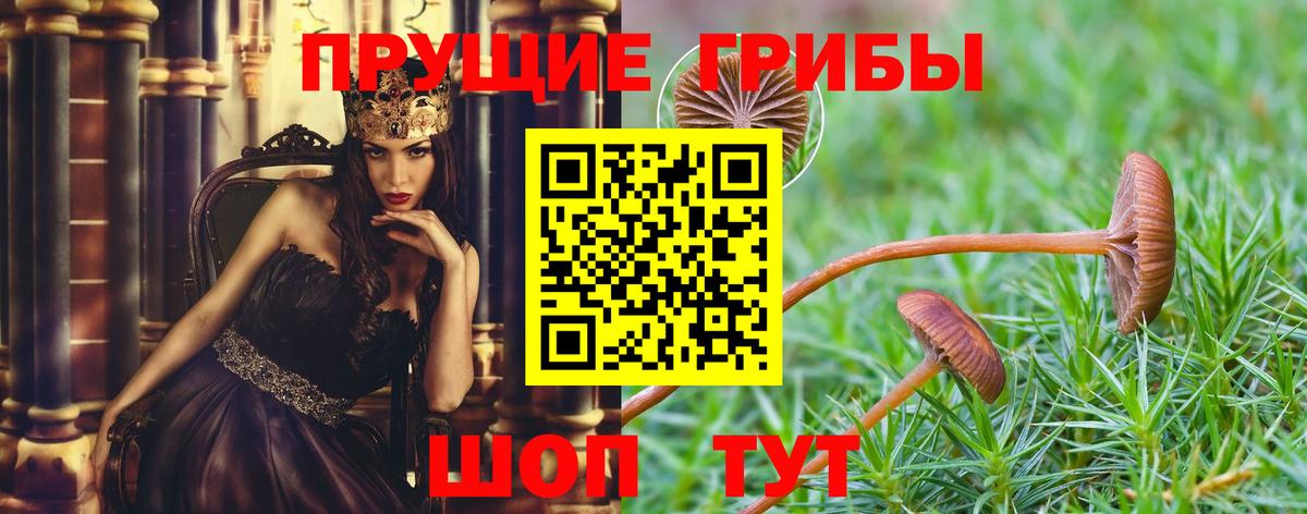Арзамас  Галлюциногенные грибы ЛСД  Вход с VPN 